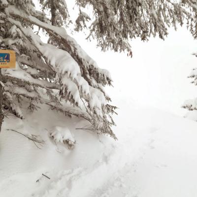 Panneau Villard De Lans 
